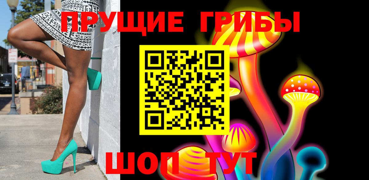 как найти   Псилоцибиновые грибы мицелий  Псилоцибиновые грибы Cubensis  Вход с VPN  Среднеуральск 
